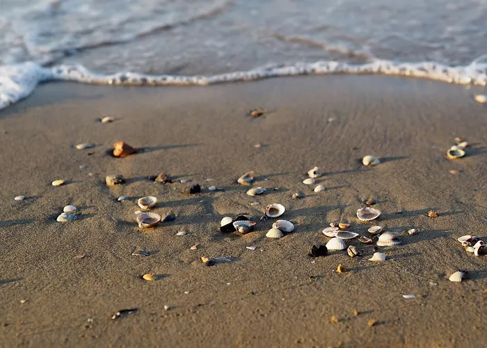 Appartamento Charming Seaside Escape With Bright Interiors Bibione